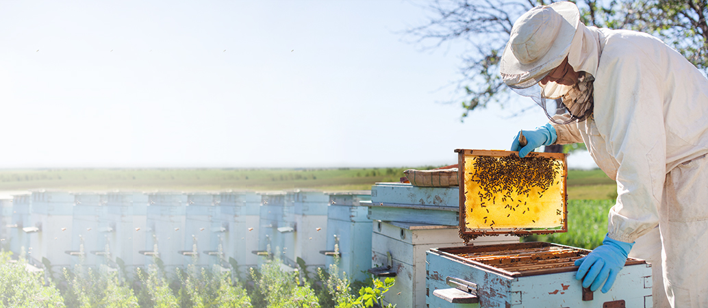 Bee Keeping banner